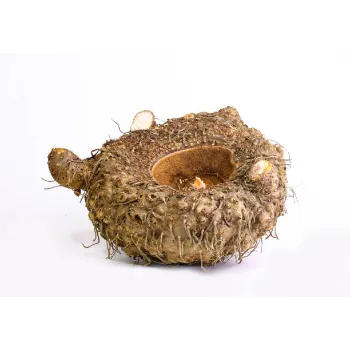 Natural Elephant Yam